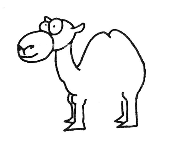 儿童学画骆驼简笔画步骤教程 骆驼的简单画法