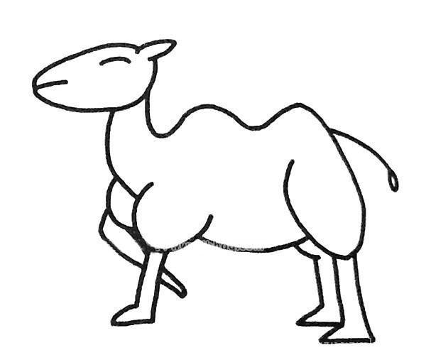 3款骆驼简笔画图片 骆驼的简单画法大全