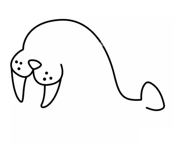 儿童学画开心的海豹简笔画步骤教程 卡通海豹的简单画法
