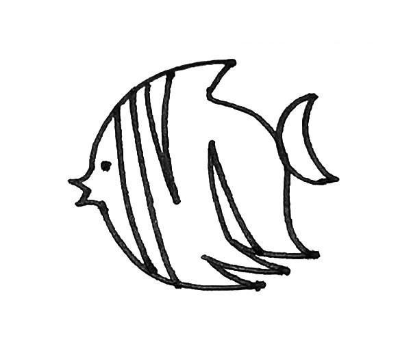 儿童学画热带鱼简笔画步骤教程 热带鱼的简单画法