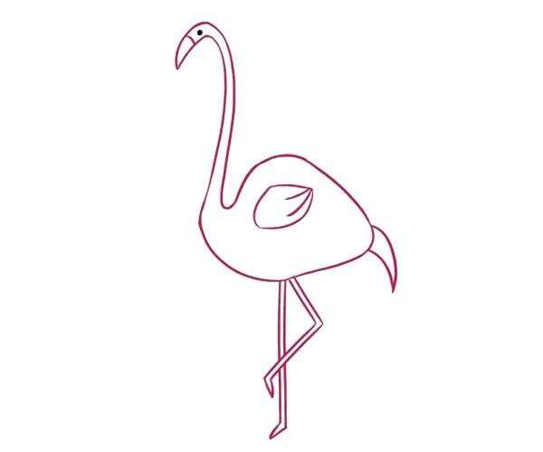 儿童学画漂亮的火烈鸟简笔画步骤教程 火烈鸟的简单画法