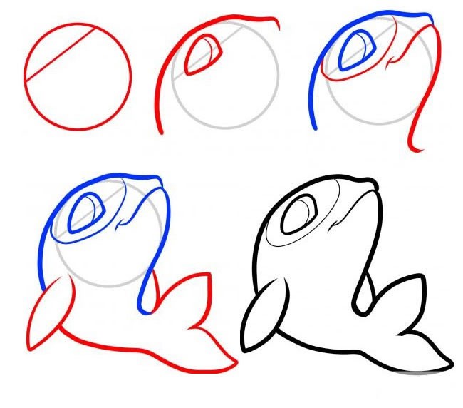 学画可爱的小海豚简笔画步骤图解 海豚的简单画法