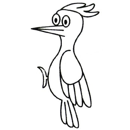 幼儿学画啄木鸟简笔画步骤图解 啄木鸟的简单画法