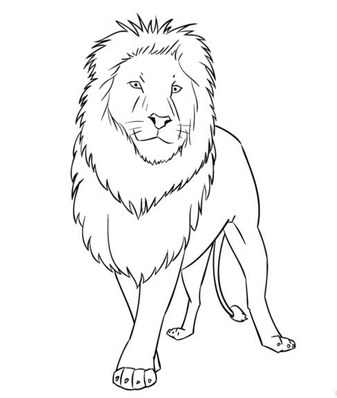 儿童学画卡通狮子简笔画图解 狮子如何画,如何画狮子