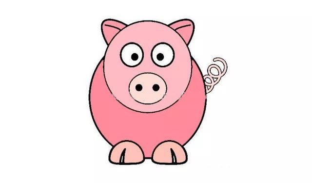 儿童学画小红猪简笔画步骤画法教程