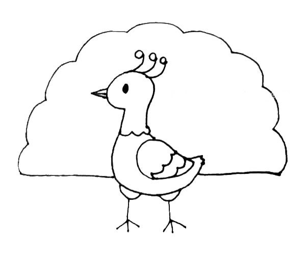 简单的孔雀如何画 儿童学画孔雀简笔画步骤教程