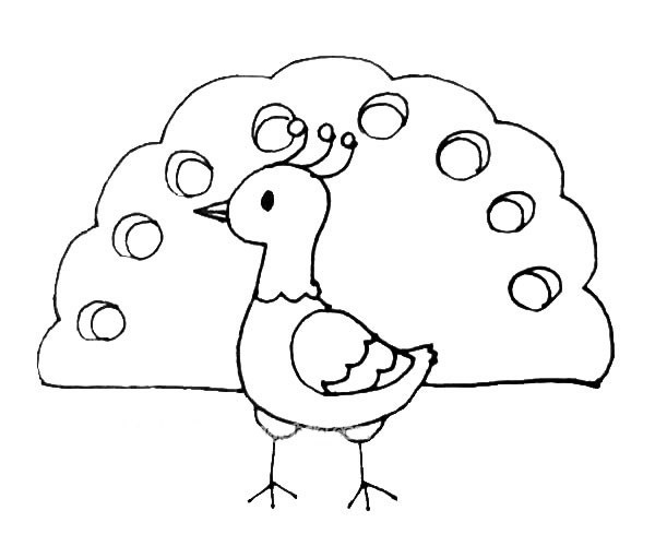 简单的孔雀如何画 儿童学画孔雀简笔画步骤教程