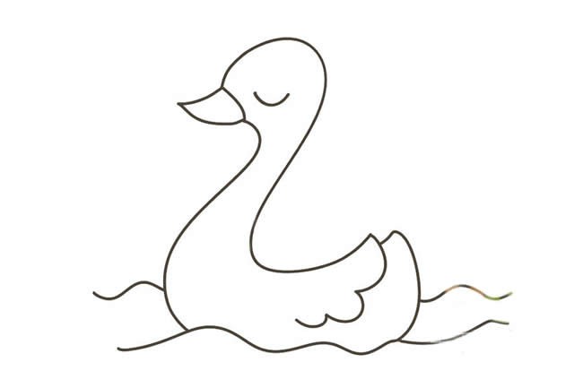 天鹅简笔画 儿童学画漂亮的天鹅简笔画步骤图片教程