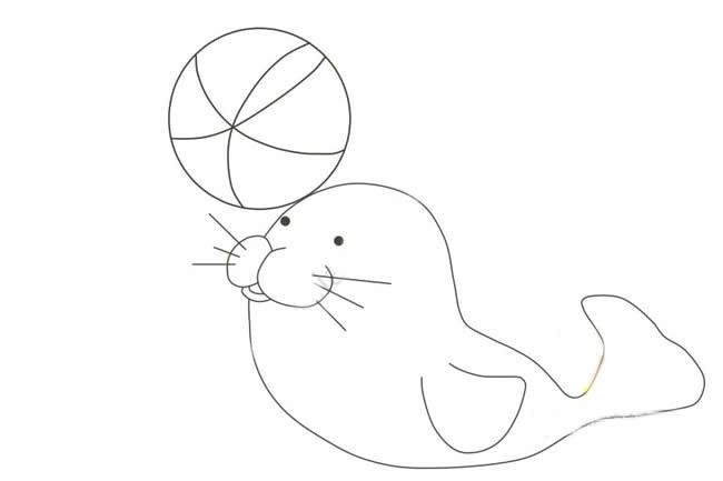 【小海豹简笔画】小海豹顶皮球简笔画步骤图教程
