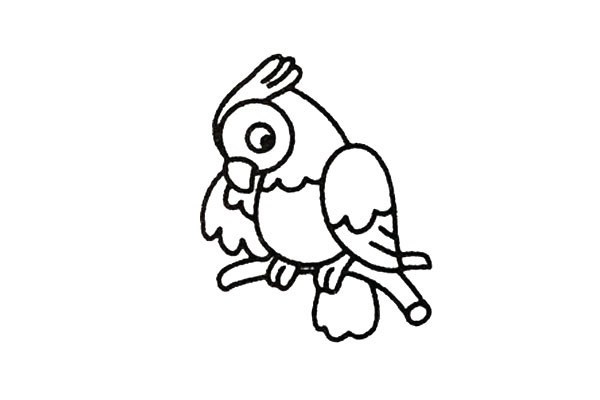 彩色小鹦鹉的简笔画步骤教程 鹦鹉的画法