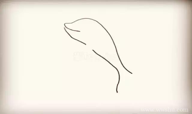 跳出水面的可爱海豚简笔画步骤图文教程