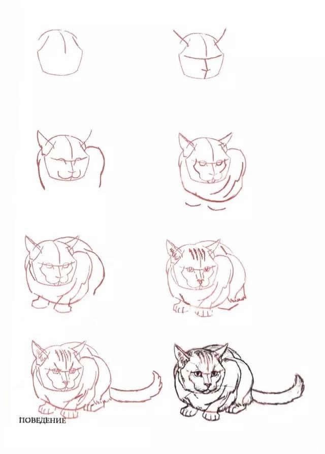 10种不同的小猫咪画法大全