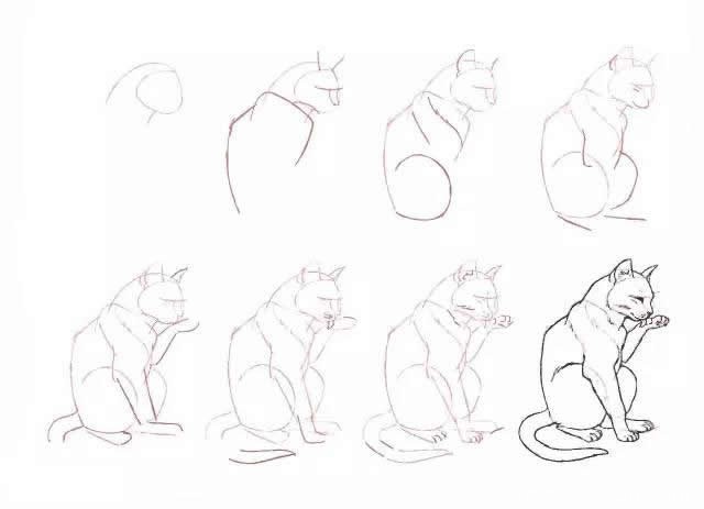 10种不同的小猫咪画法大全