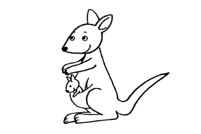 九步画出可爱的袋鼠简笔画步骤图片教程