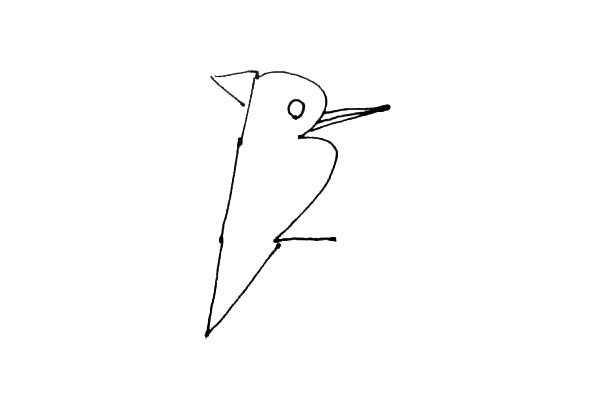 简单七步画出：啄木鸟简笔画步骤图片教程