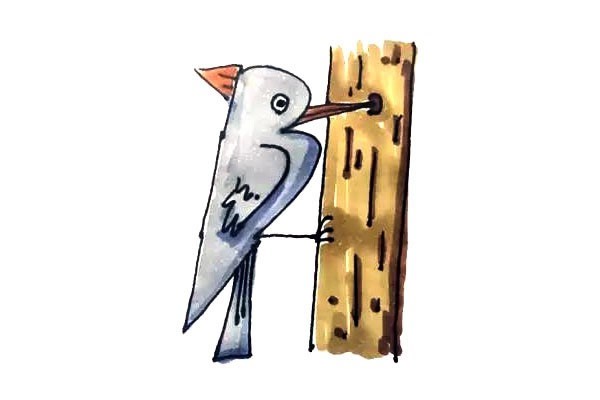 简单七步画出：啄木鸟简笔画步骤图片教程