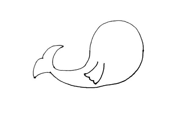 简单七步画出：海豹简笔画步骤图片教程