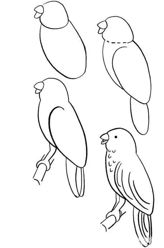 各种鸟儿的简笔画步骤图片教程