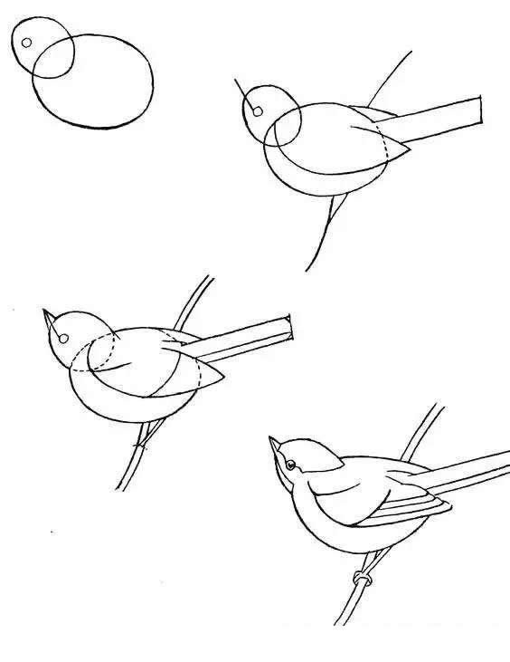 各种鸟儿的简笔画步骤图片教程