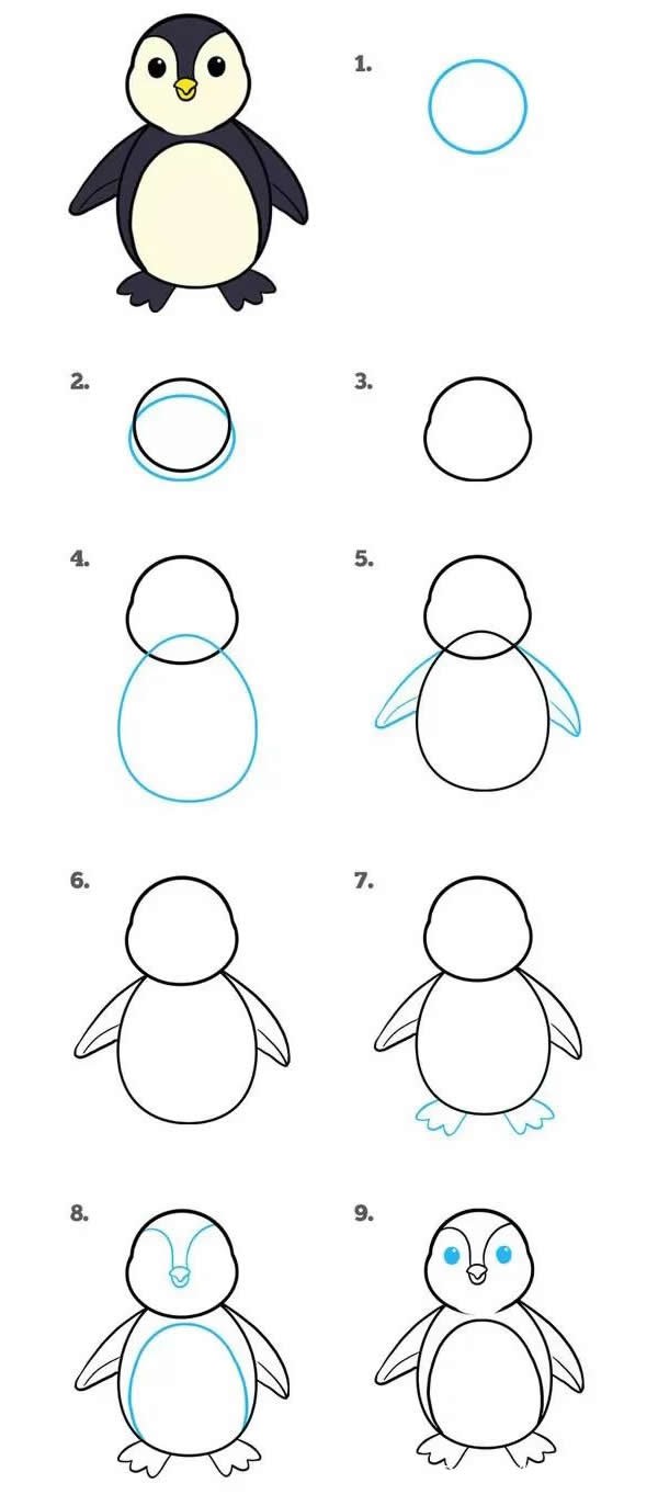 学画卡通企鹅简笔画步骤图片