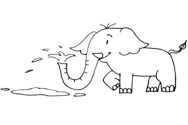 大象如何画 学画开心的大象简笔画步骤图文教程
