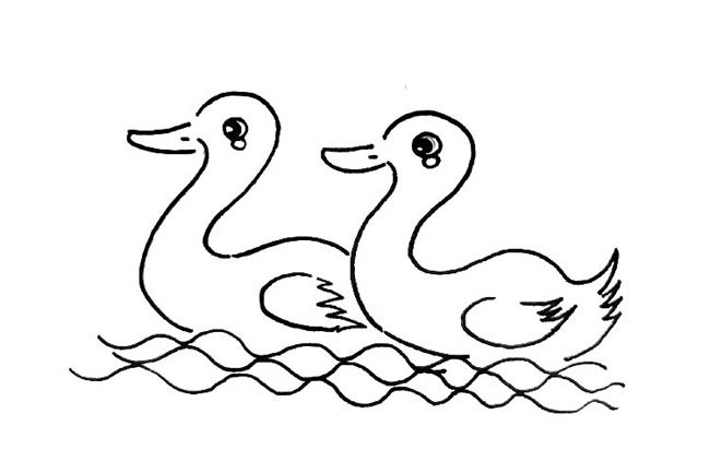 两只小鸭子简笔画图片素材