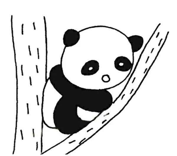一组大熊猫简笔画的简单画法图片素材