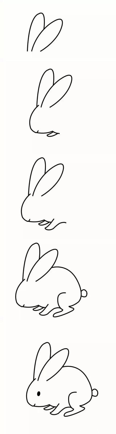 兔子如何画 简单的小兔子简笔画步骤图片素材大全