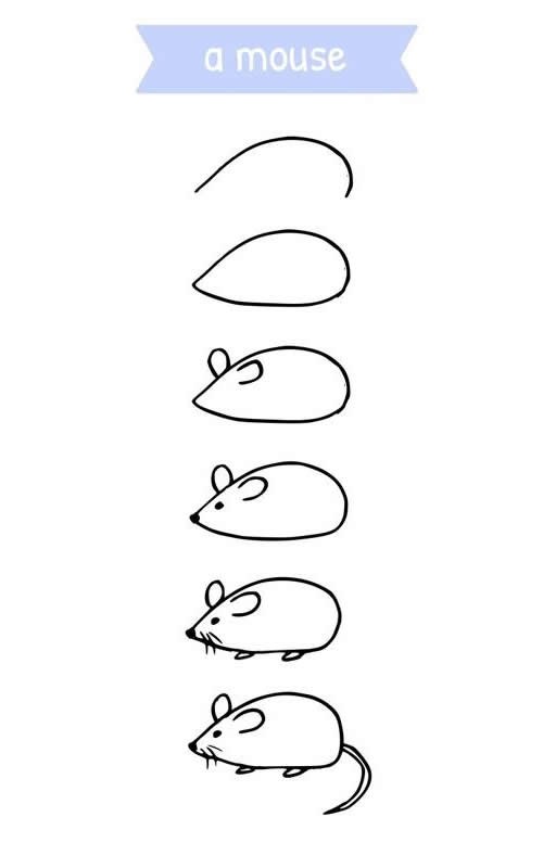 老鼠如何画 一只老鼠简笔画步骤图片大全
