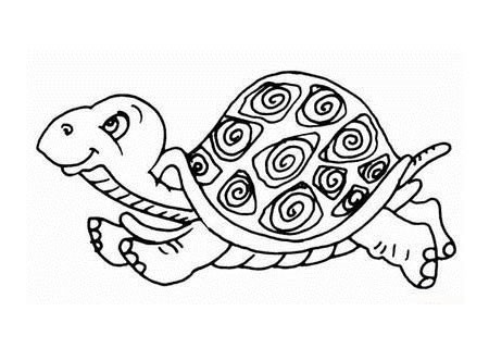 7款可爱的卡通乌龟/海龟简笔画图片素材大全