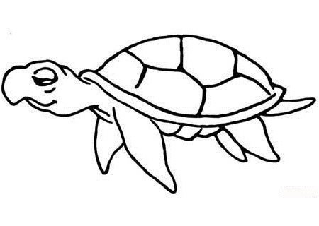7款可爱的卡通乌龟/海龟简笔画图片素材大全