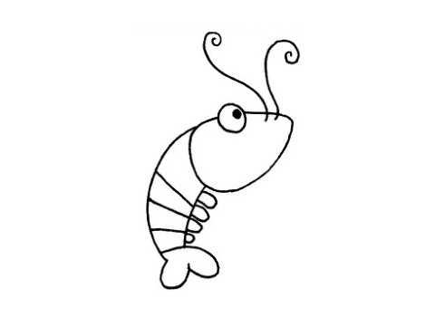 虾的简单画法 卡通小虾简笔画步骤图文教程