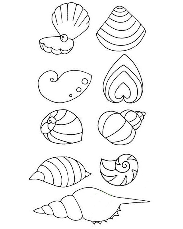 贝壳如何画 分享两款贝壳简笔画步骤图文教程