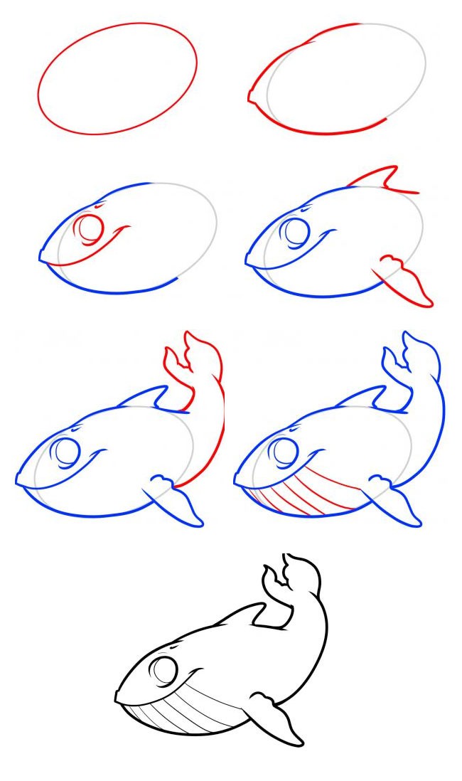 鲸鱼宝宝简笔画 鲸鱼宝宝简笔画步骤图片大全