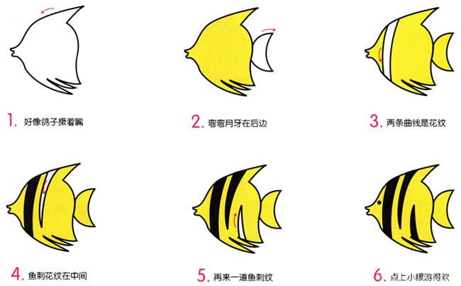 热带鱼简笔画动物 热带鱼动物简笔画步骤图片大全