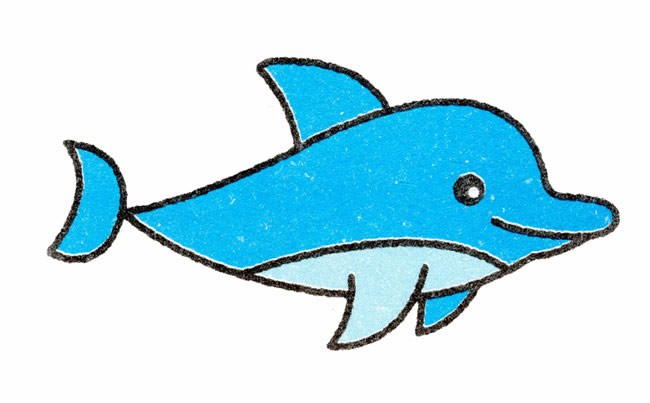 海豚简笔画动物 海豚动物简笔画步骤图片大全