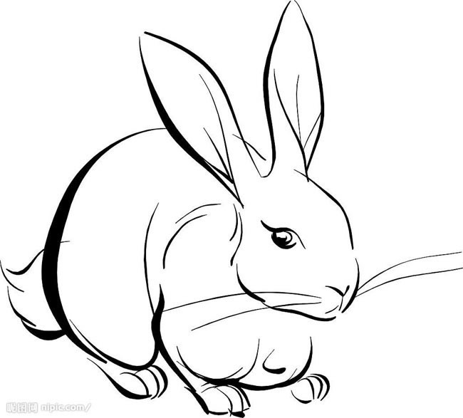 兔子简笔画 大白兔简笔画动物 大白兔动物简笔画步骤图片大全