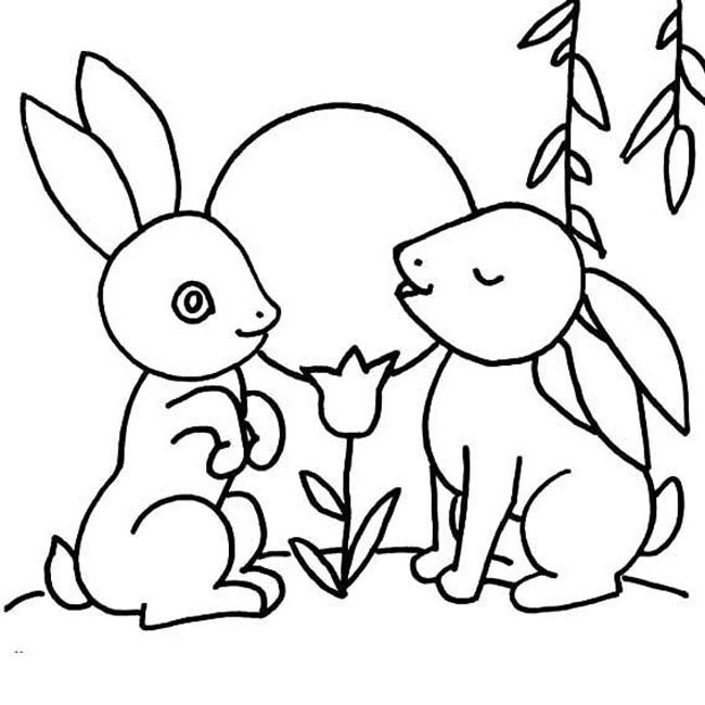 两只兔子简笔画动物 两只兔子动物简笔画步骤图片大全