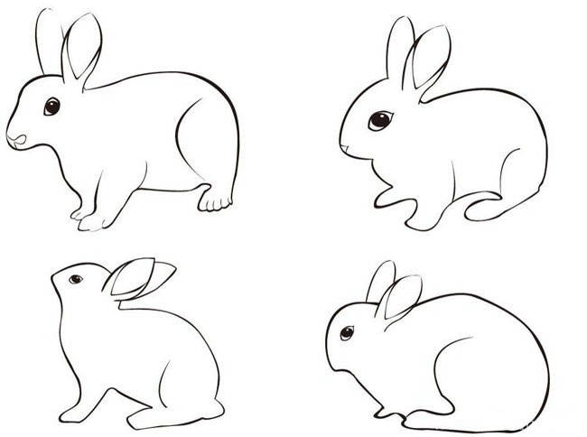 兔子简笔画 兔子简笔画动物 兔子动物简笔画步骤图片大全