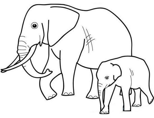 大象带着小象简笔画动物 大象带着小象动物简笔画步骤图片大全
