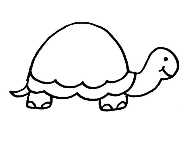 动物简笔画 乌龟简笔画动物 乌龟动物简笔画步骤图片大全