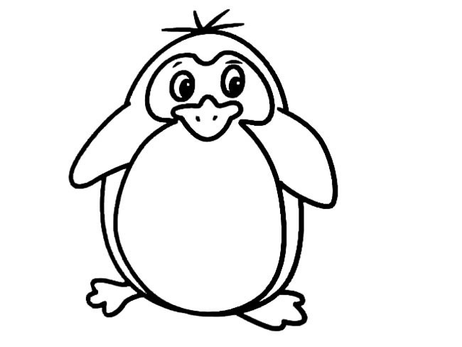 动物简笔画 企鹅简笔画动物 企鹅动物简笔画步骤图片大全
