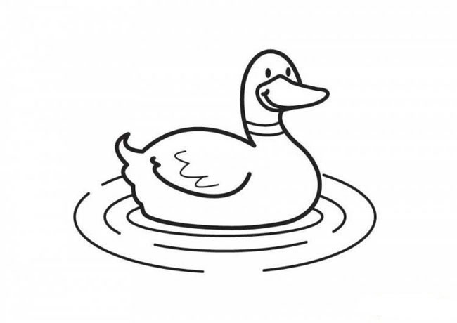 游泳的鸭子简笔画动物 游泳的鸭子动物简笔画步骤图片大全