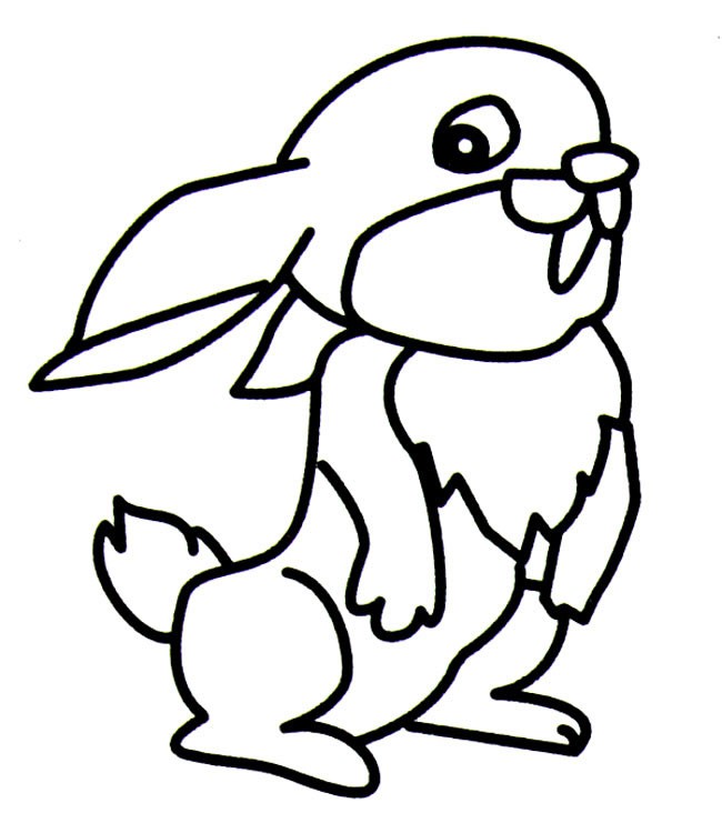 卡通兔子简笔画动物 卡通兔子动物简笔画步骤图片大全