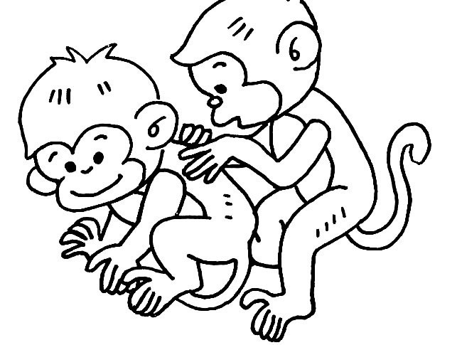 两只小猴子简笔画动物 两只小猴子动物简笔画步骤图片大全