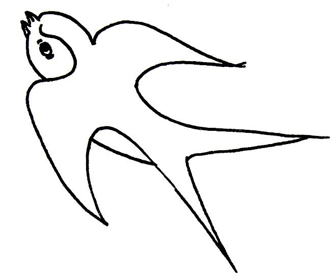 小燕子简笔画动物 小燕子动物简笔画步骤图片大全