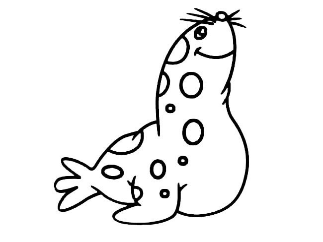 可爱的海豹简笔画动物 可爱的海豹动物简笔画步骤图片大全