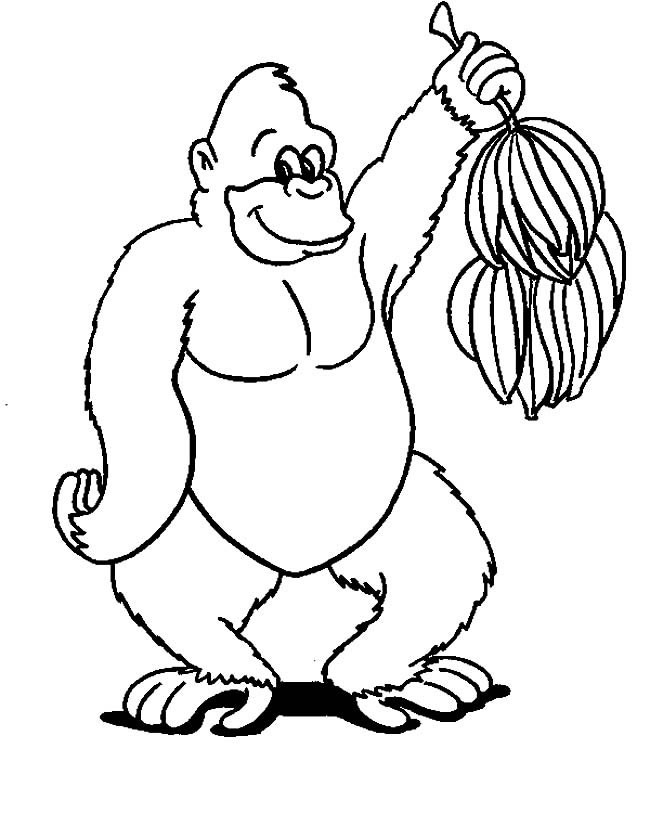 大猩猩猴子简笔画动物 大猩猩动物简笔画步骤图片大全