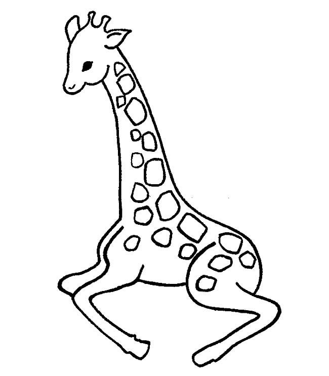 长颈鹿简笔画动物 长颈鹿动物简笔画步骤图片大全三