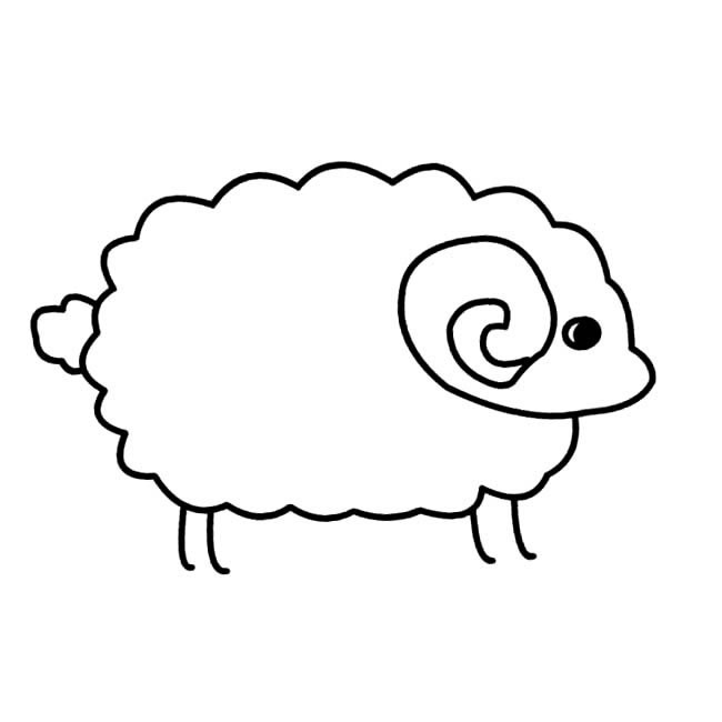小绵羊简笔画动物 小绵羊动物简笔画步骤图片大全